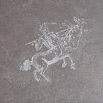 Купить Centauro Nebula 49х49 