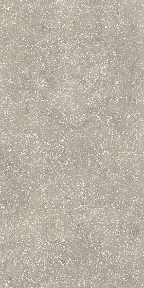 Купить Rex Espirit De Rex Vintage Gris 60х120 