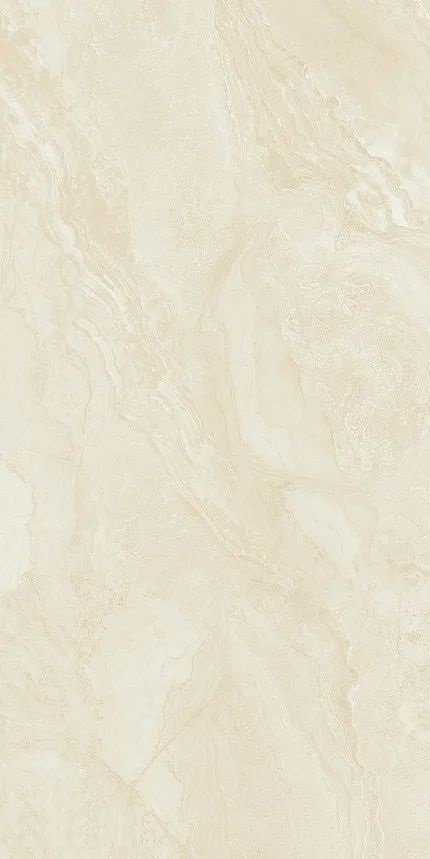 Купить Guangdong Shenghui Ceramics Marbles SH126G205 Rect 60x120 