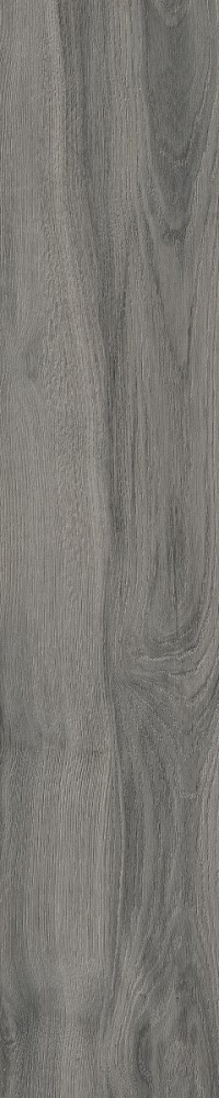 Купить RHS Daring Dark  24×120 