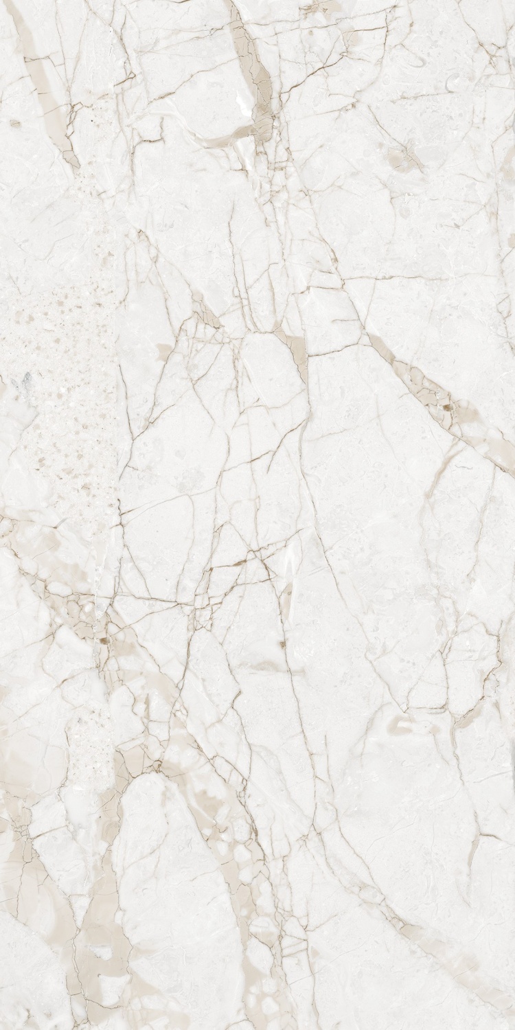 Купить NT Ceramic Marmo Impero Grey Carving  60×120 