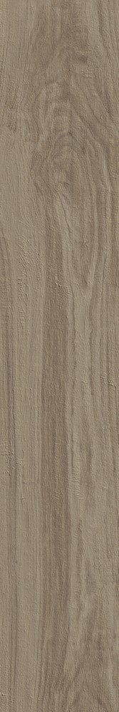 Купить Century Royal Wood Ontano Naturale Rettificato 20x120 