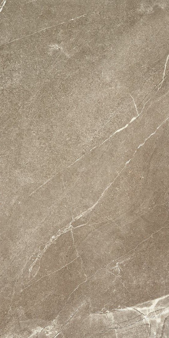 Купить Alaplana Bodo Mocca 60x120 
