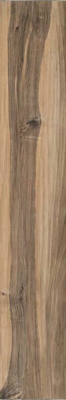 Купить Ascot Natural Noce Europeo 25x150 