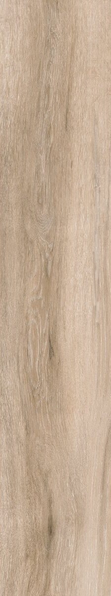 Купить Emotion Pecan Beige 23,3x120 