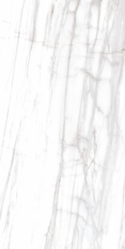 Купить Etile Venato White Pulido 75x150 