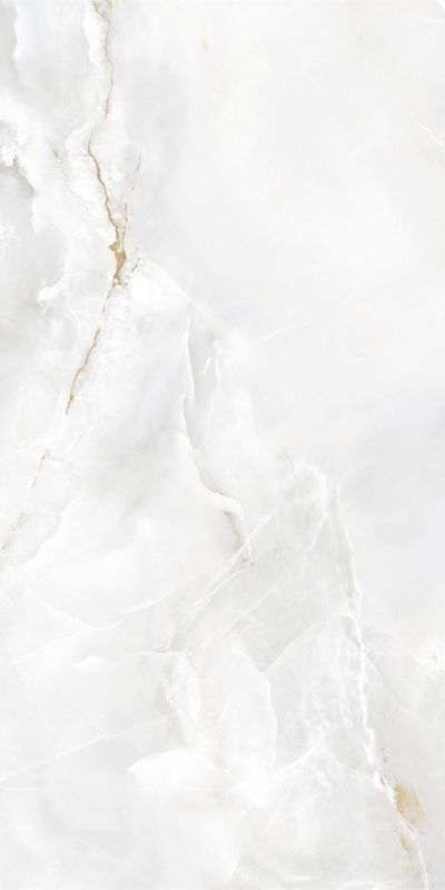 Купить Ecoceramic Eternal White 004 Pl 60x120 