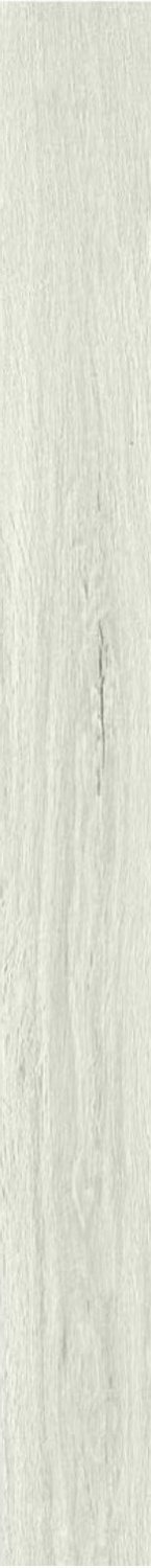 Купить Ragno Woodclassic Bianco 10x100 