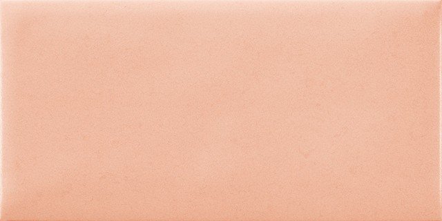 Купить Rocersa Nordic Coral 12,5x25 