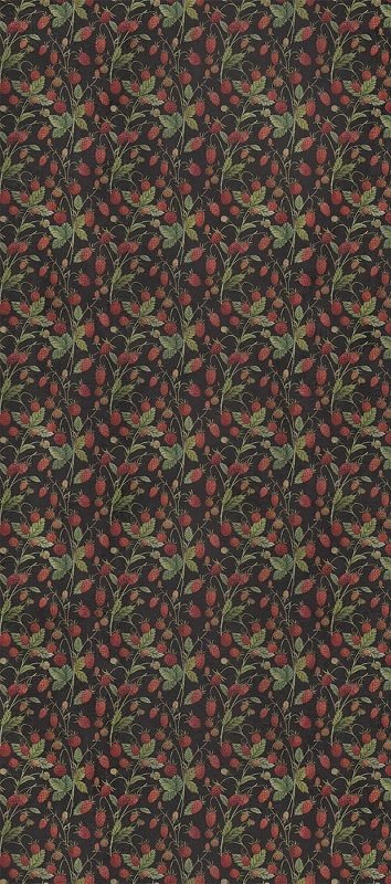 Купить Wide&Style Wild Berry 120x278 