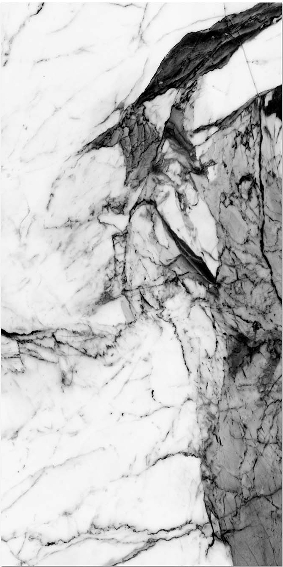 Купить NT Ceramic Bright And Shiny Marble Grey NTT9111P  60×120 