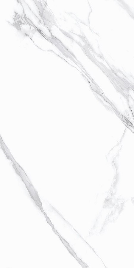 Купить Exagres Staro Silk Statuario Calipso Matt 60x120 