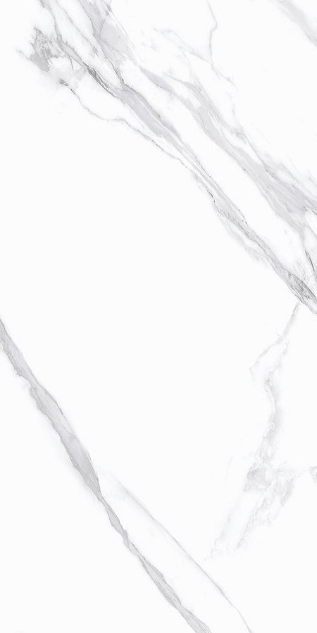 Купить Exagres Staro Silk Statuario Calipso Matt 60x120 