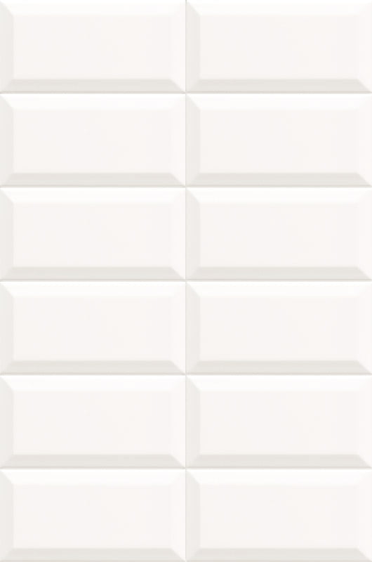 Купить Mainzu Plus Bissel Blanco 10х20 
