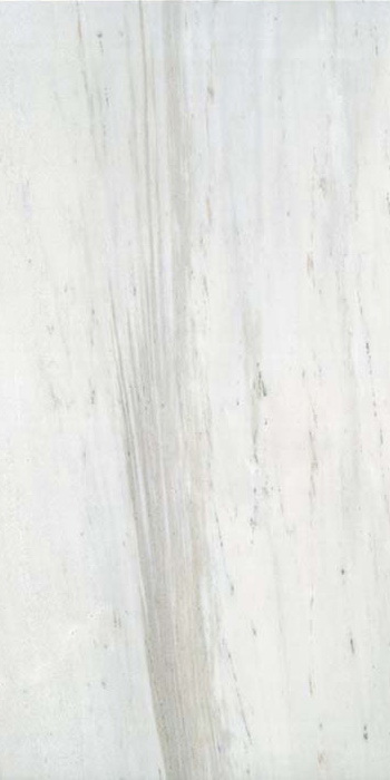 Купить Rex Ceramiche I Bianchi di Rex Palissandro 6 mm Luc Ret 60x120 