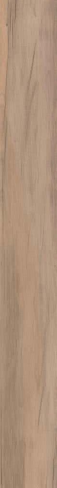 Купить ABK Dolphin Clay Rett. 20х170 