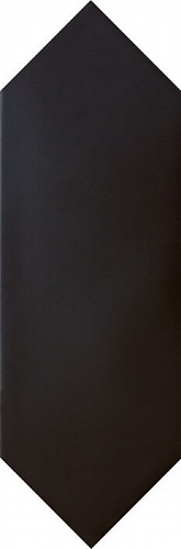 Купить Equipe Kite Black 10x30 