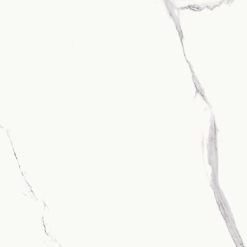 Купить Bien Statuario Goya Matte Rec 60x60 