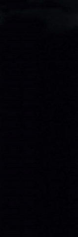 Купить Petracers Gran Gala Nero Lucido 31,5x94,9 