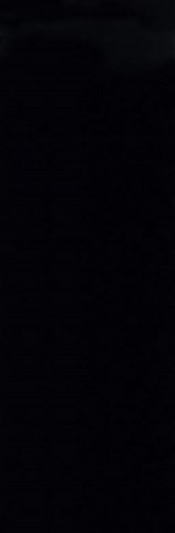 Купить Petracers Gran Gala Nero Lucido 31,5x94,9 