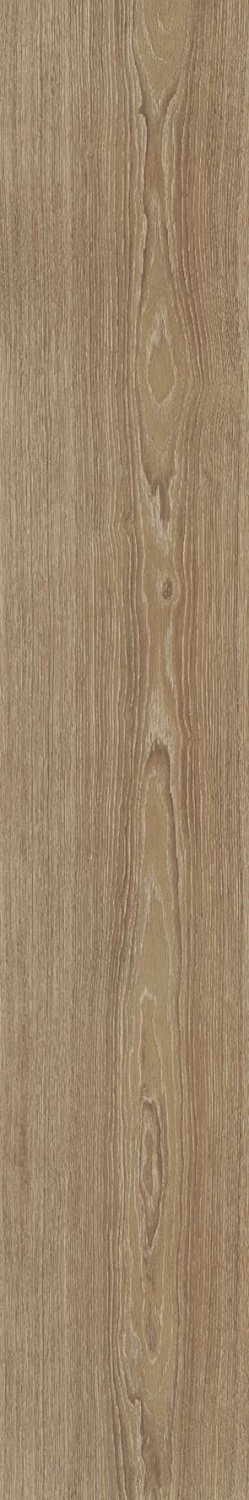 Купить Venis Minnesota Camel 25x150 