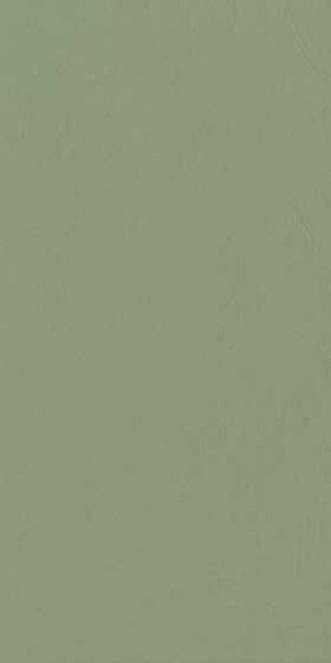 Купить Cir&Serenissima Chromagic Green Guru 60x120 