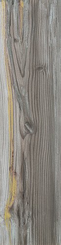 Купить Apavisa 4ever Echo Gold Natural 25x100 