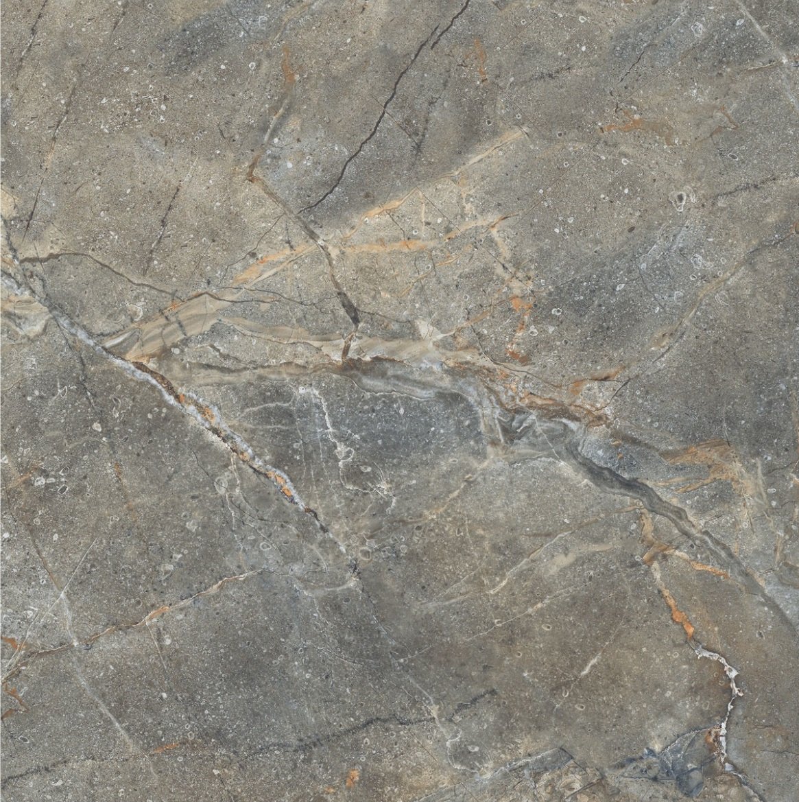 Купить Staro Oasis Marbo Olive Polished  60×60 