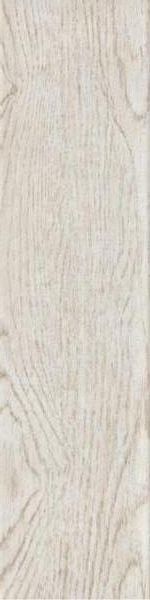 Купить Ragno Eko Bianco R1WD 12.5х50 