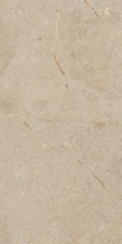 Купить Art&Natura Ceramica Una Pietra Camel Rustic Carving 60x120 