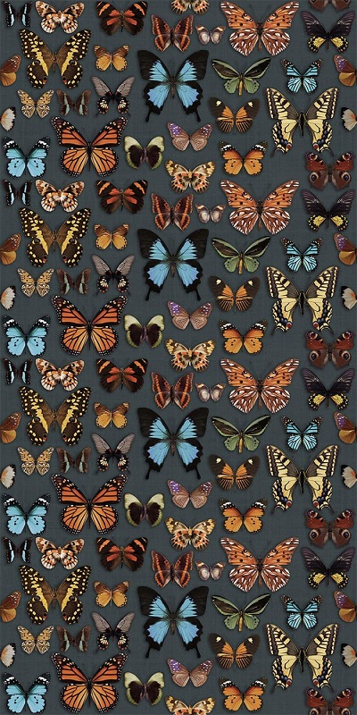 Купить Wide&Style Papillon 160x320 