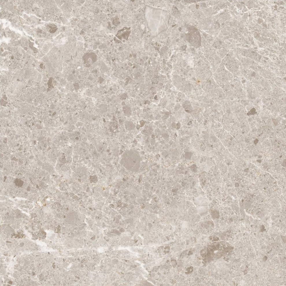 Купить Grespania Artic Beige  60×60 