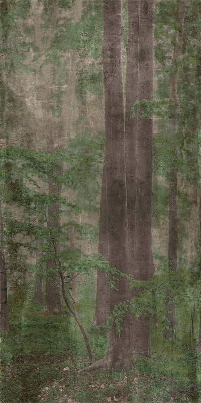 Купить Wide&Style Woods C 160x320 