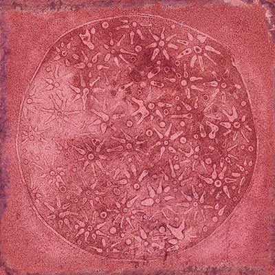 Купить Vives Luca Carlo Granate-B 20x20 