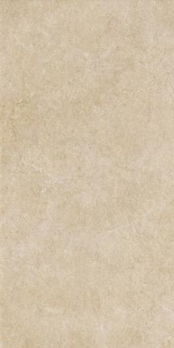 Купить Ragno Realstone Argent Miele Strutturato RT 60x120 