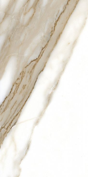 Купить Fanal Pulido NPlus Calacatta 60x120 
