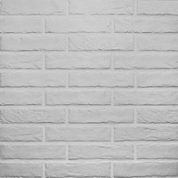Купить RHS White Brick 6х25 