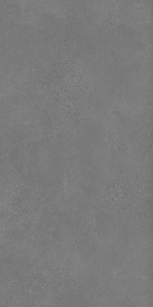 Купить Peronda Alley Grey BHMR R 50x100 