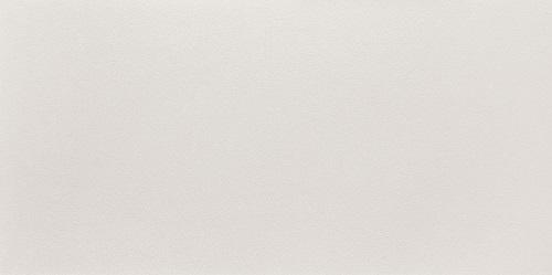 Купить Tubadzin Perlato Grey 29,8х59,8 