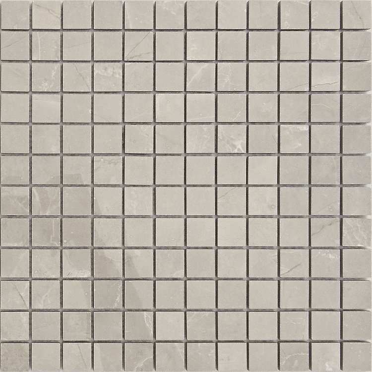 Купить Caramelle Marble Porcelain Nuvola Grigio POL 2,3x2,3 30х30 
