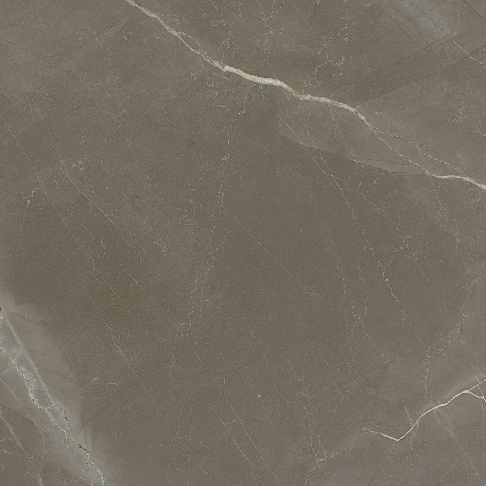 Купить Porcelanite Dos Venecia 1804 Gris Pulido 98x98 