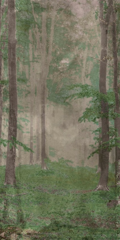 Купить Wide&Style Woods B 120x278 