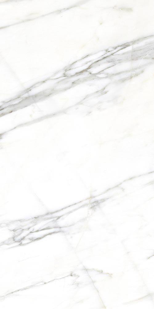 Купить Vives Marblelous Verbier-R Pulido 59,3x119,3 