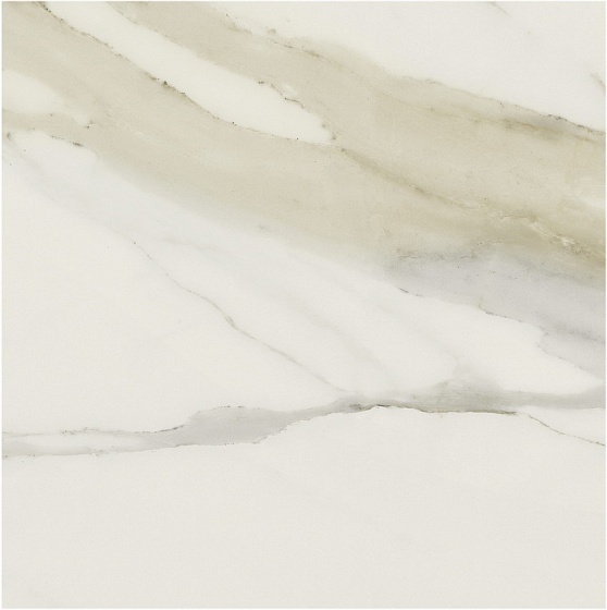 Купить Rex Magnum Classici Calacatta Gold Glossy 120х120 6мм 