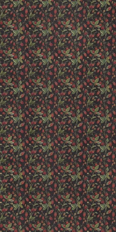Купить Wide&Style Wild Berry 160x320 