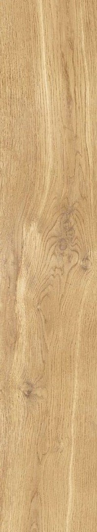 Купить Cerrad Giornata Oro 60x11 