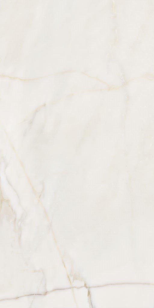 Купить Cifre Ceramica Sabine Gold Pul. Rect. 60x120 