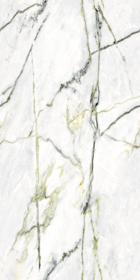 Купить Neodom Splendida Calacatta Green Book Polished 60x120 