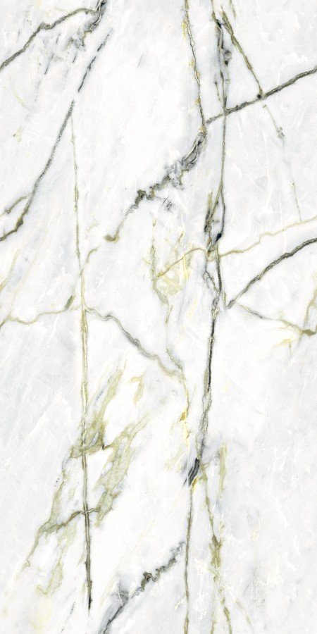 Купить Neodom Splendida Calacatta Green Book Polished 60x120 