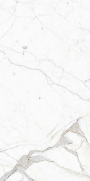 Купить FMG Select Calacatta 60x120 